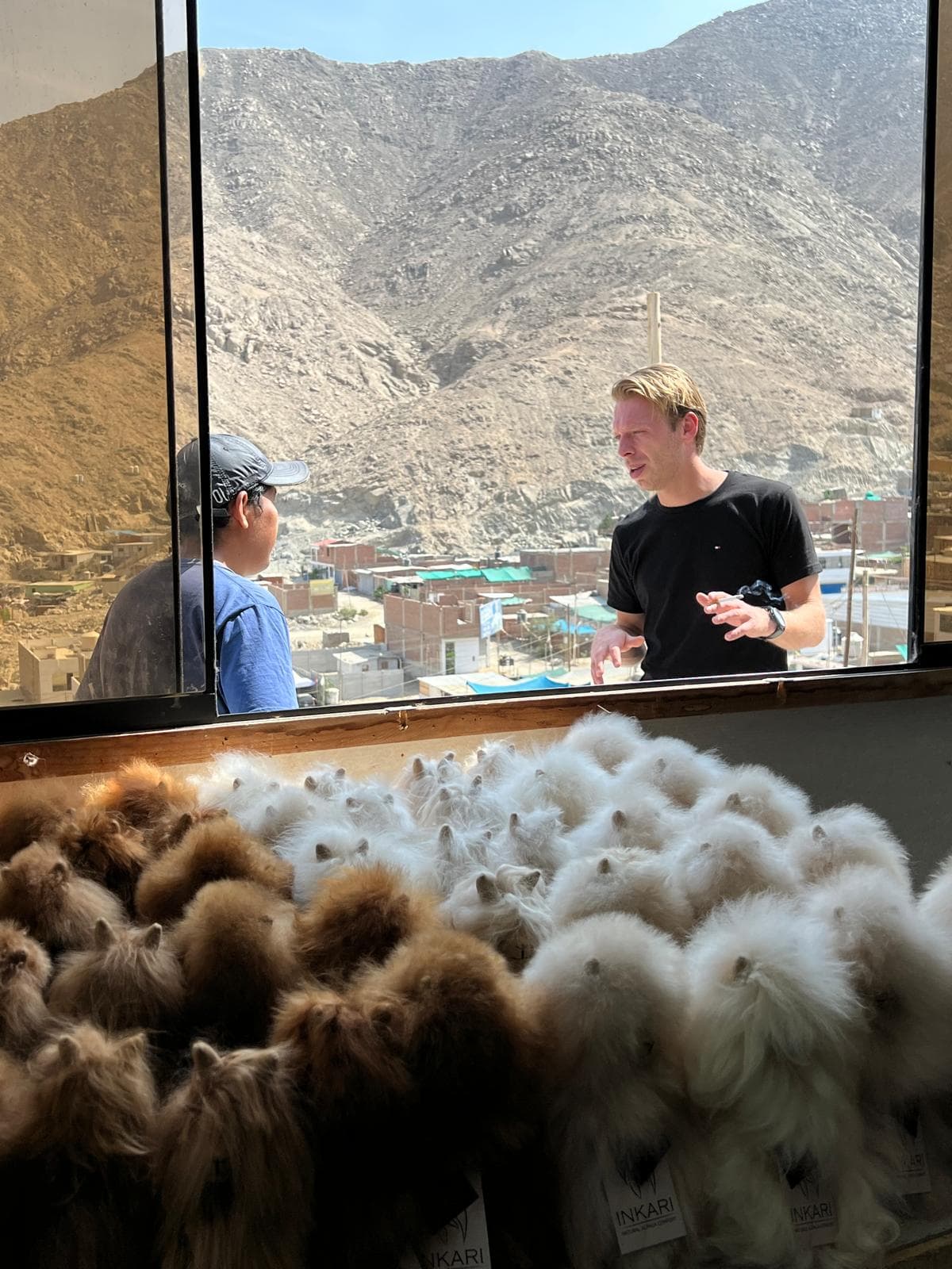 Andean highlands