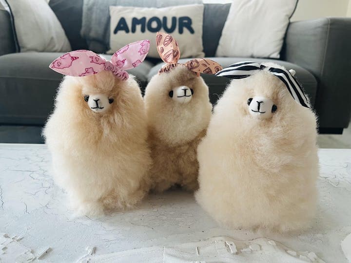 Inkari alpaca family
